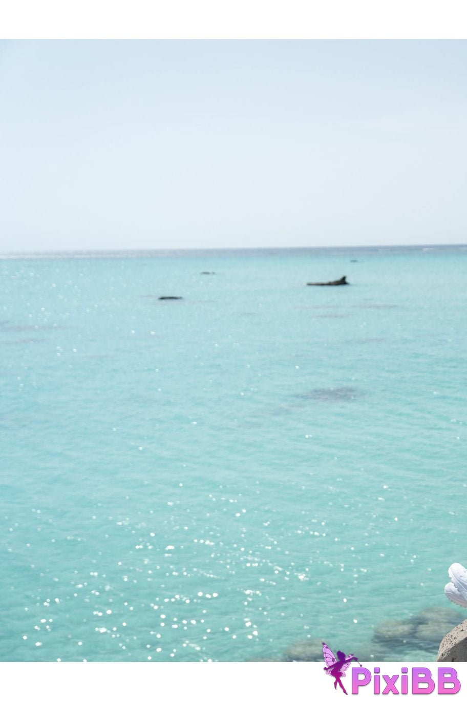 Japanese Idol Miku Tanaka Young Champion Digital Photo Book Sweet Escape PixiBB.COM 063