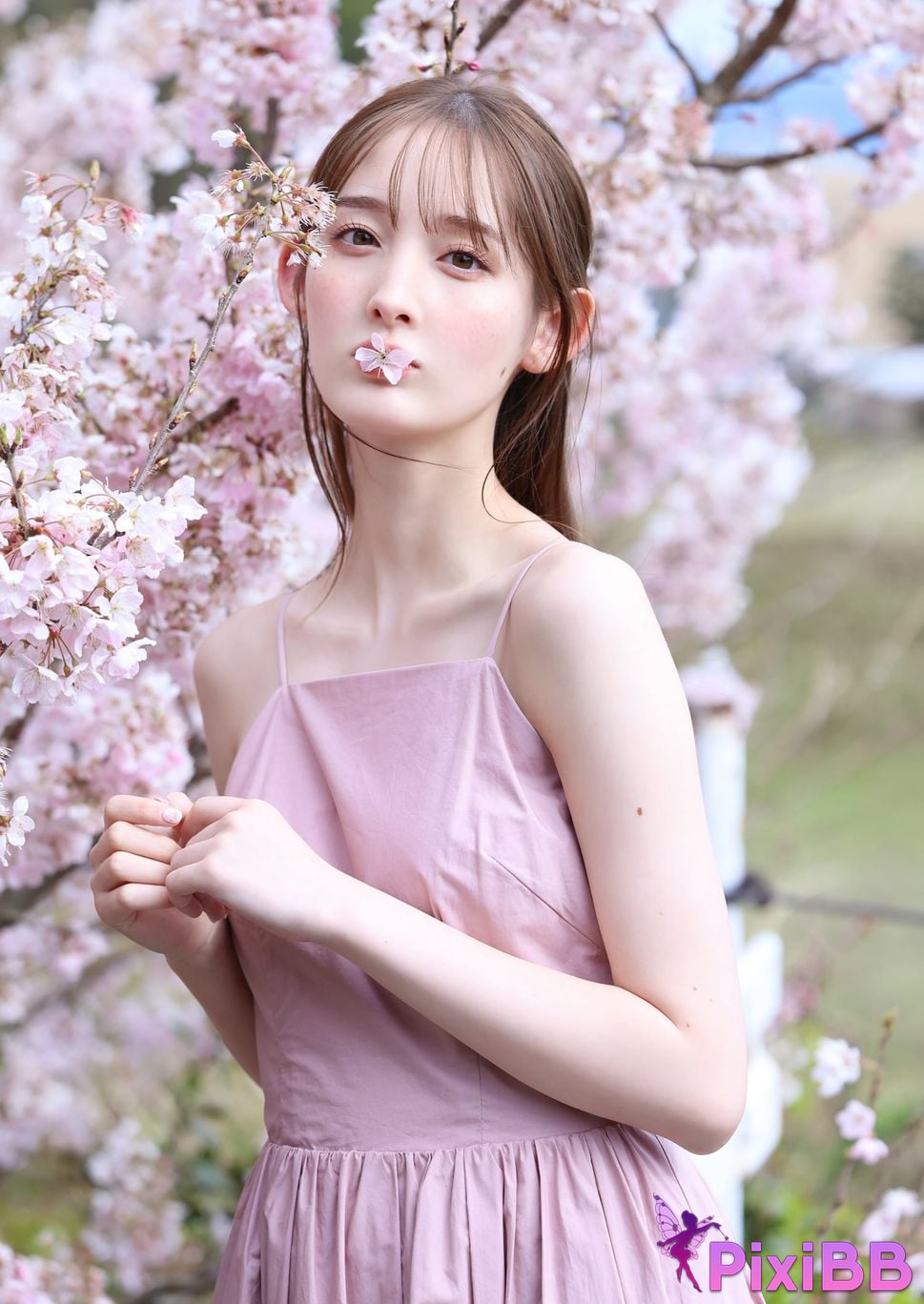 Japanese Idol Cecile Nana Cecil Digital only YJ PHOTO BOOK photo collection pale faintly PixiBB.COM 026