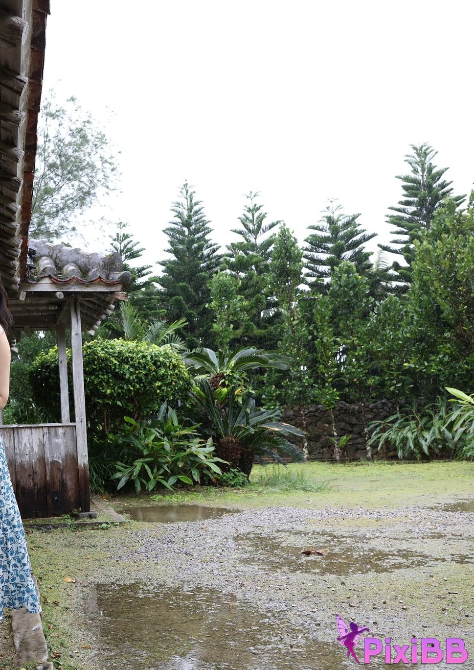 Japanese Idol Fubuki Kei Mu Kai Jie PixiBB.COM 012