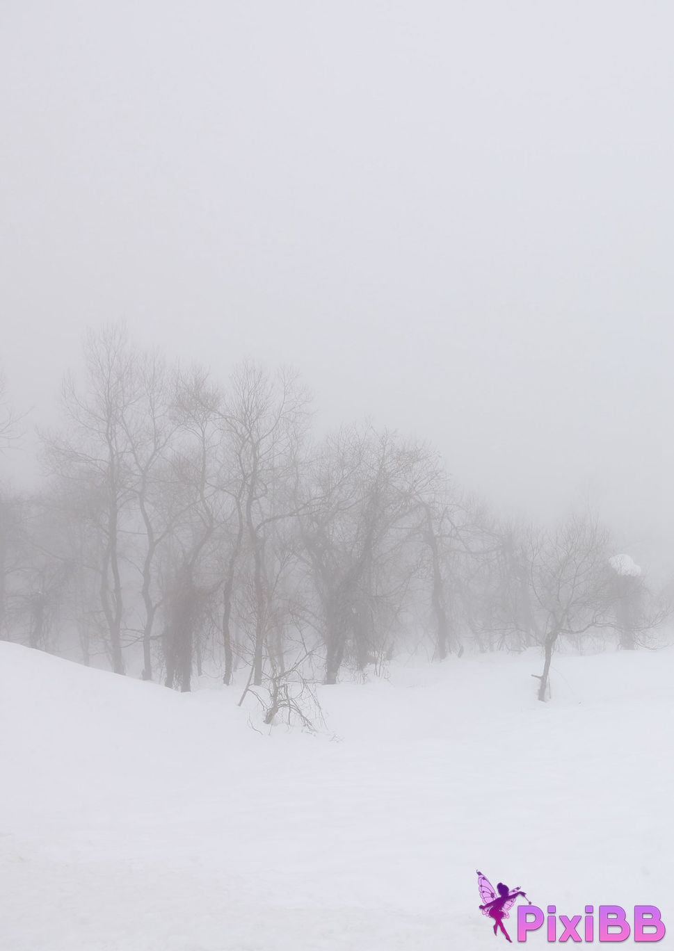 Japanese Idol Fubuki Kei Mu Kai Jie PixiBB.COM 123