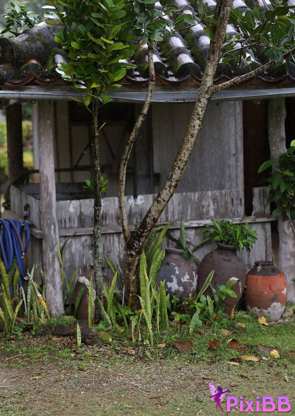 Japanese Idol Fubuki Kei Mu Kai sequence Spisan gravure photo book PixiBB.COM 046