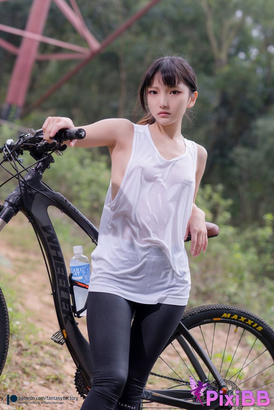 Fantasy Factory Mountain Bike PixiBB.COM 3