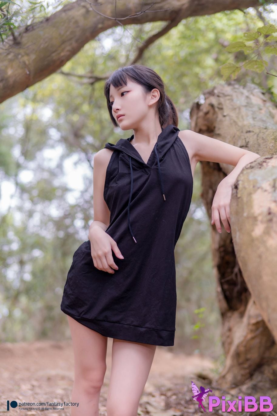 Fantasy Factory Mountain Bike PixiBB.COM 36