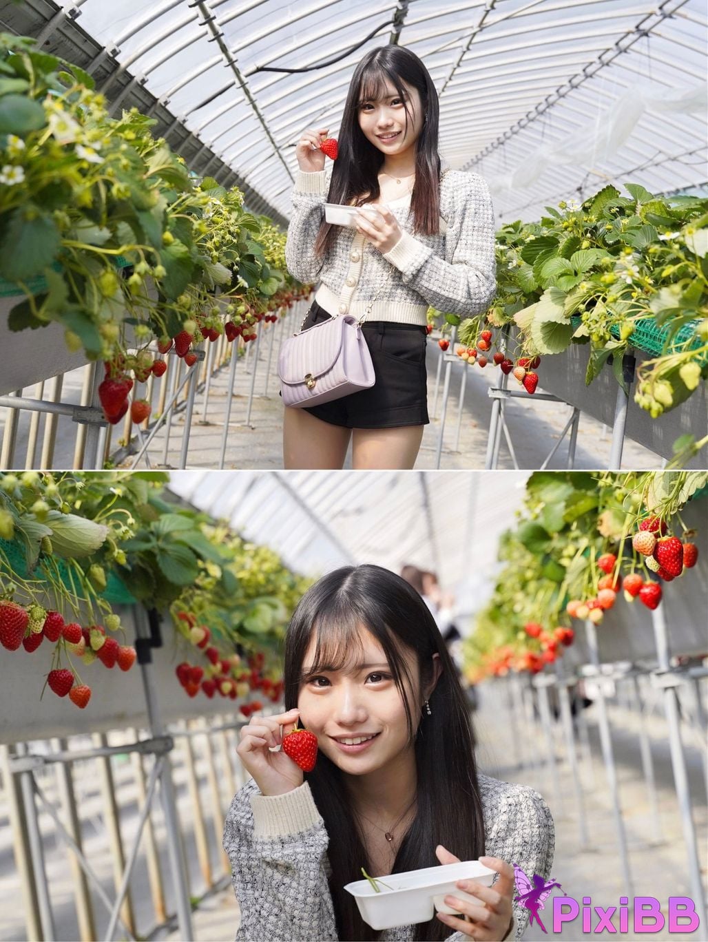 Japanese Idol Rin Suzunoya Suzu no Ie POSE EDITION No.01 PixiBB.COM 060