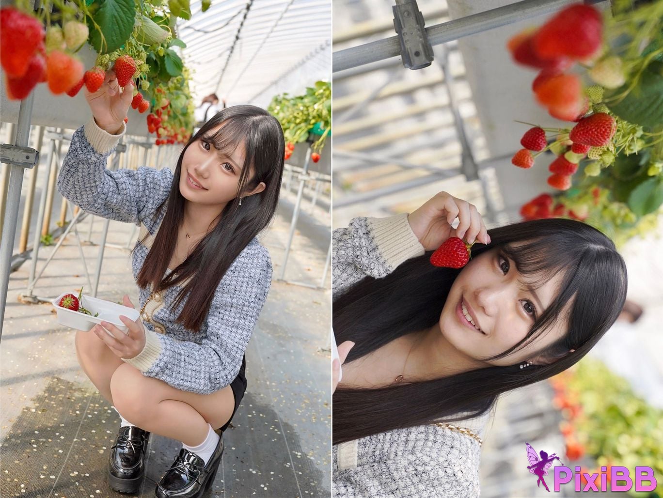 Japanese Idol Rin Suzunoya Suzu no Ie POSE EDITION No.01 PixiBB.COM 061