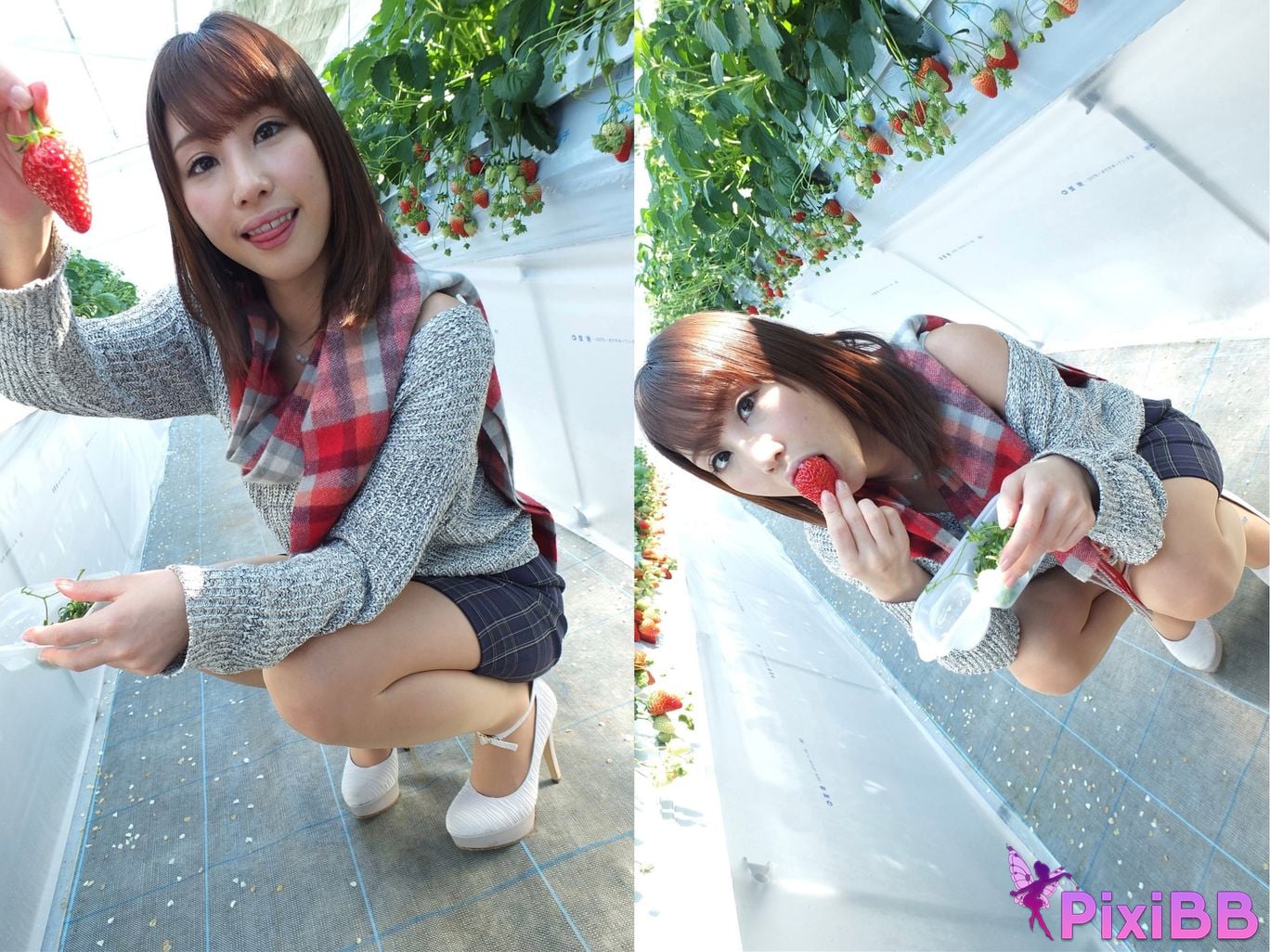 Japanese Idol Syunka Ayami Shunka SOFT EDITION No.01 PixiBB.COM 038