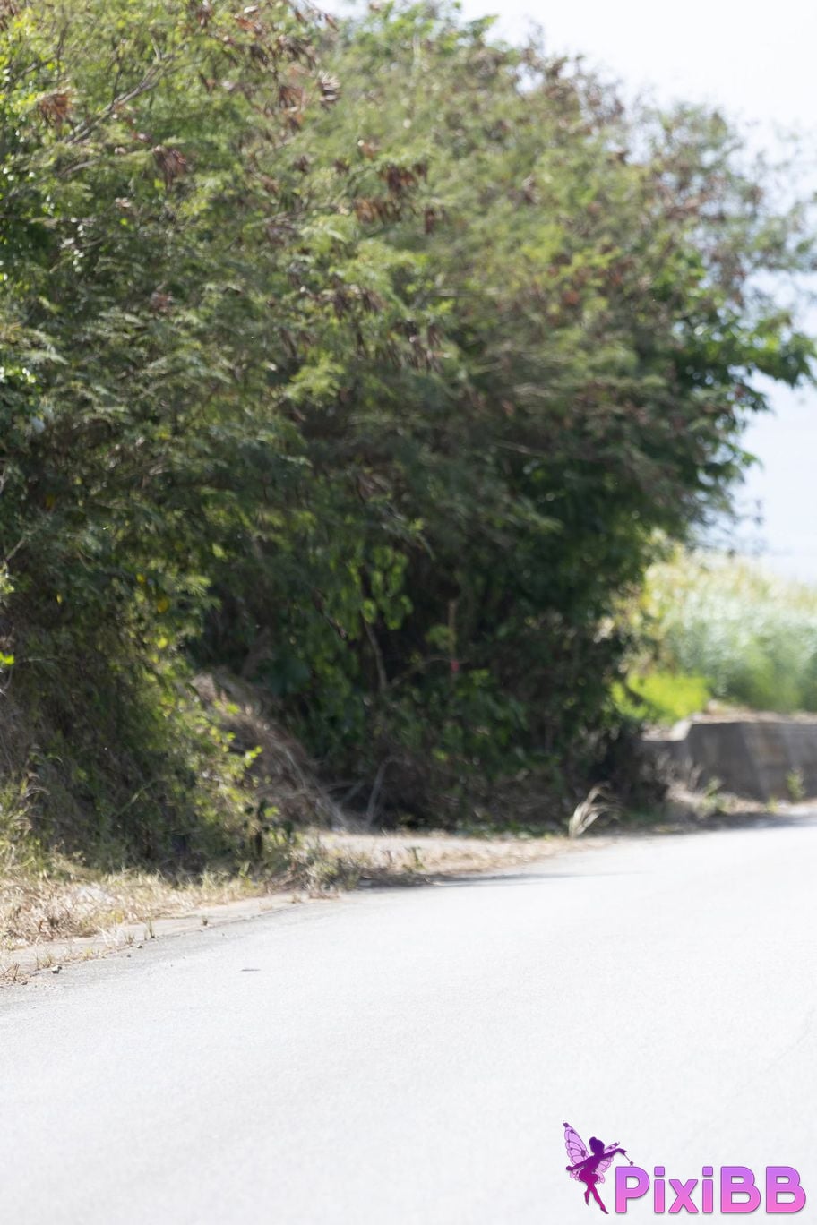 Japanese Idol Nanako Aizawa FRIDAY digital photo book N Unreleased special edition vol.3 120 pages deluxe PixiBB.COM 107