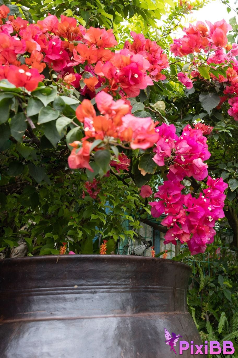 Japanese Idol Nanako Aizawa FRIDAY digital photo book N Unreleased special edition vol.3 120 pages deluxe PixiBB.COM 121