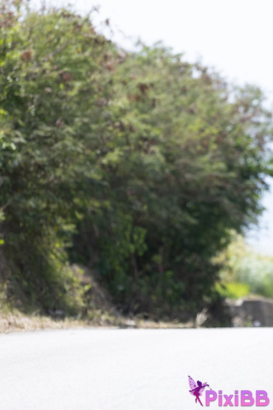 Japanese Idol Nanako Aizawa FRIDAY digital photo book N Unreleased special edition vol.2 PixiBB.COM 078