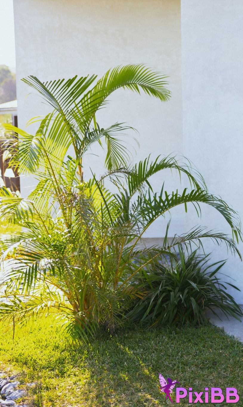 Japanese Idol Yuka Iguchi photo collection MORE Another Side Kadokawa entertainment mook PixiBB.COM 065