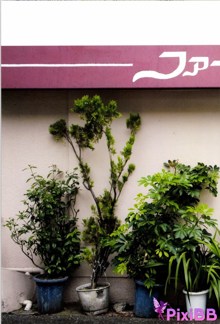 Japanese Idol Hina Kawago interview photo book PixiBB.COM 028