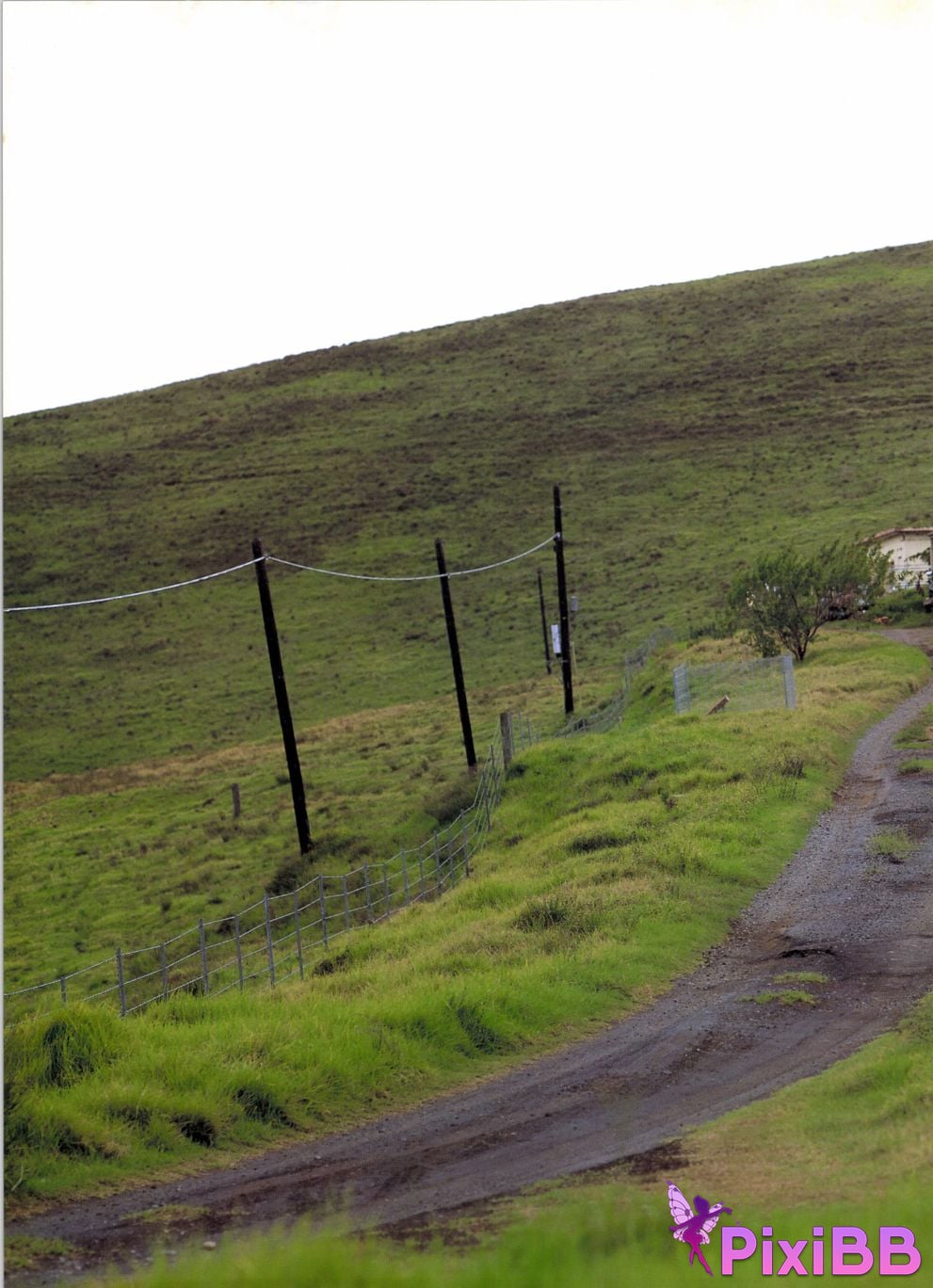 Japanese Idol Kazue Fukiishi FUKIISHI PixiBB.COM 026