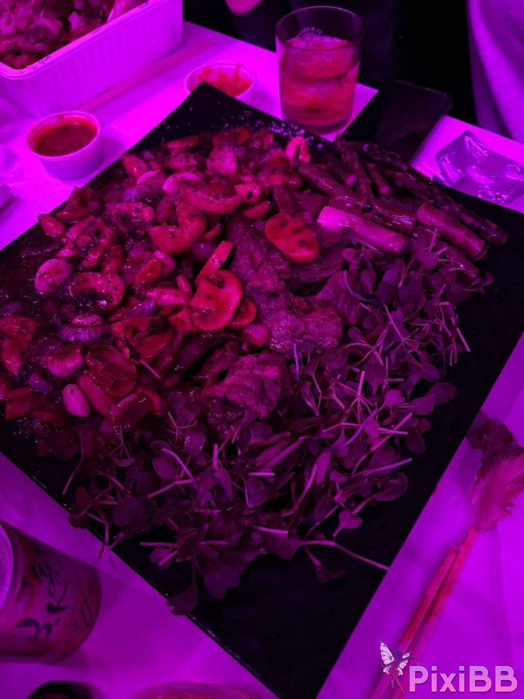 Bella Daily shooting PixiBB.COM 162