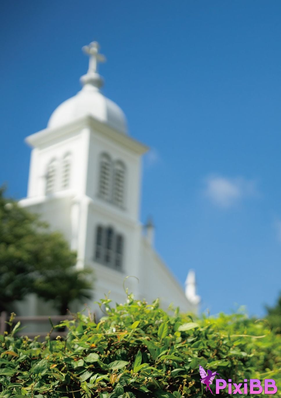 Japanese Idol Mia Nanasawa photo collection Myth PixiBB.COM 027