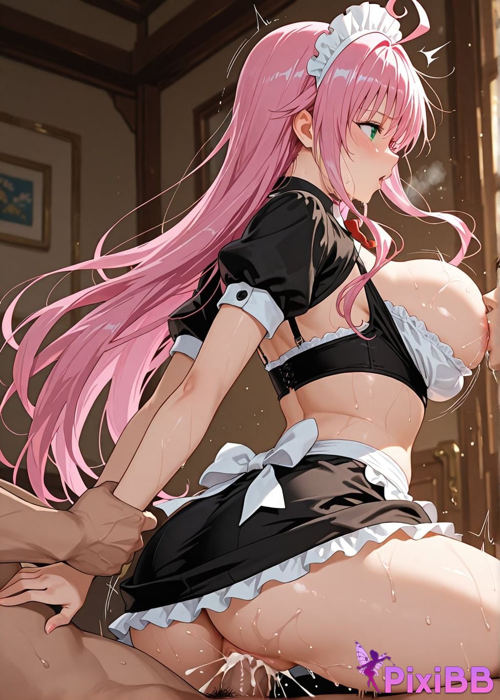 00337 3365666652 PixiBB.COM