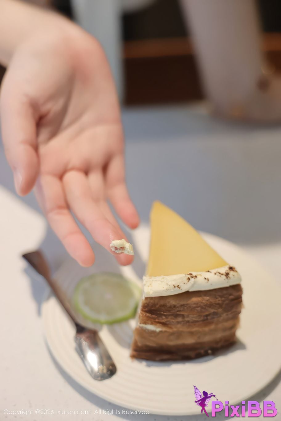 XIUREN No.11207 Naisitu PixiBB.COM 051