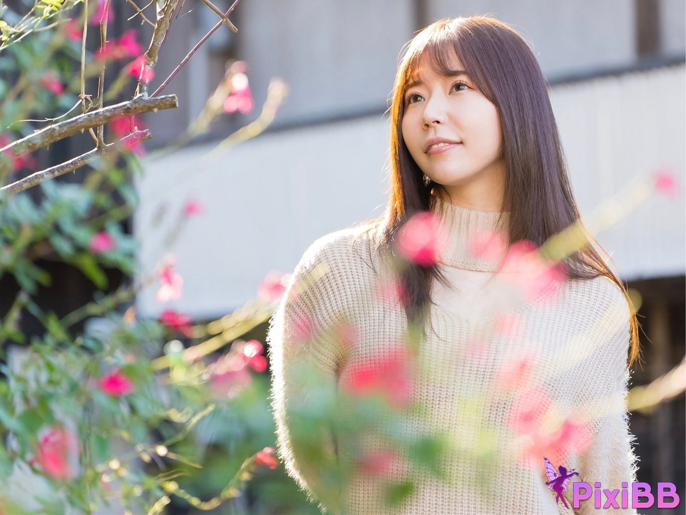 Japanese Idol Miyako Nanjo If you turn around... With illuminated by the spring light PixiBB.COM 004