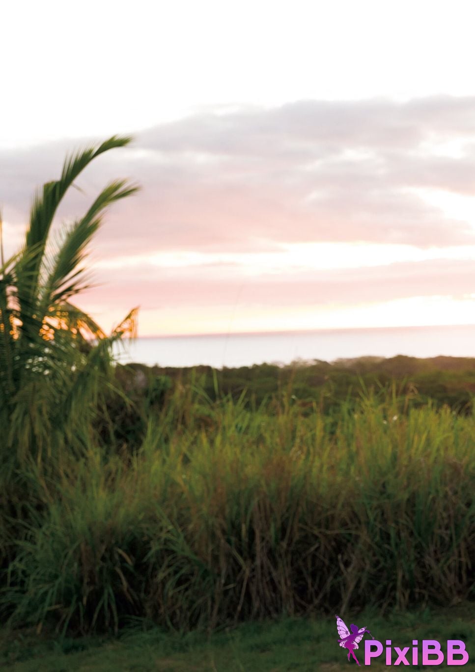 Japanese Idol Ina Enohara Ena 2nd photo collection I am PixiBB.COM 137