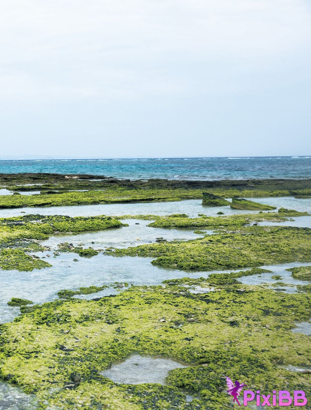 Japanese Idol Someya Yuka Some valleys are fragrant Electronic version 56 Increase in pages photo collection This is the beginning PixiBB.COM 062