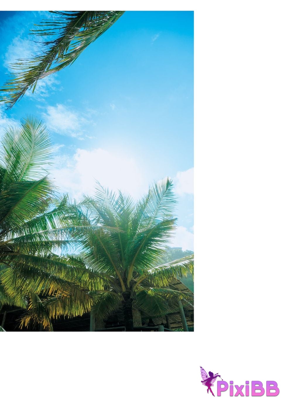 Japanese Idol Rika Fukui Includes bonus cuts only available in the electronic version 1st photo collection Ai no signpost PixiBB.COM 020