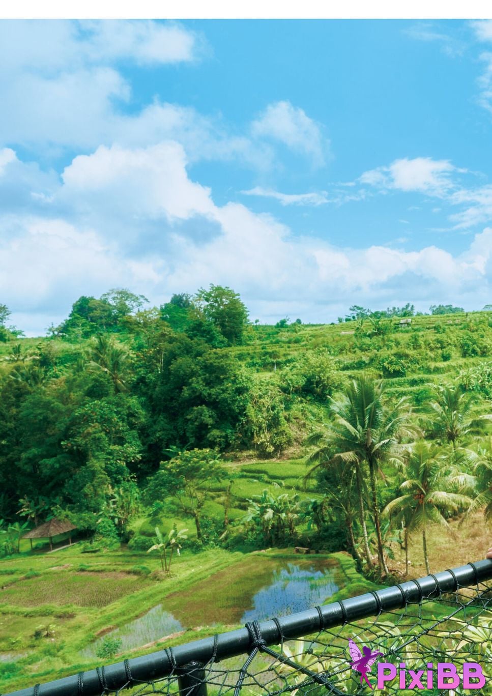 Japanese Idol Rika Fukui Includes bonus cuts only available in the electronic version 1st photo collection Ai no signpost PixiBB.COM 112