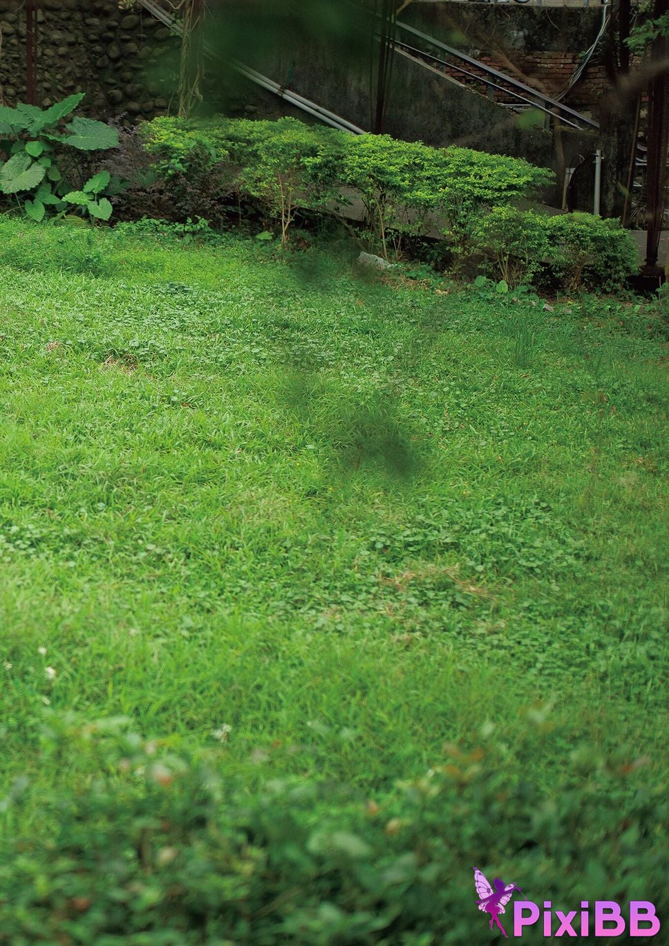 Japanese Idol Sayaka Okada Saka photo collection Ling Shang Kai Hua Another Edition PixiBB.COM 079