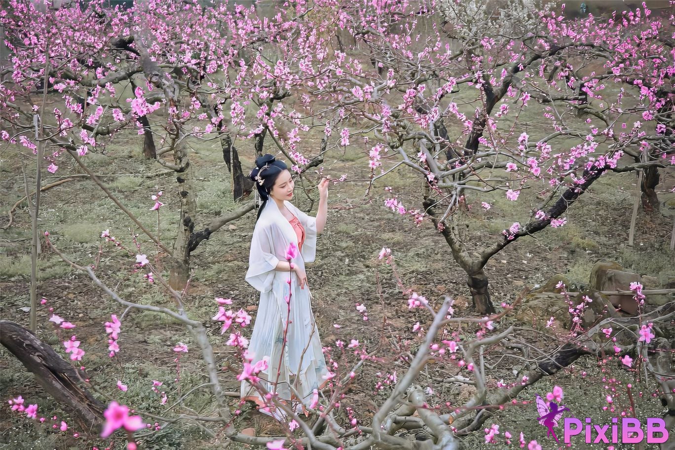 Coser Nnian PixiBB.COM 020