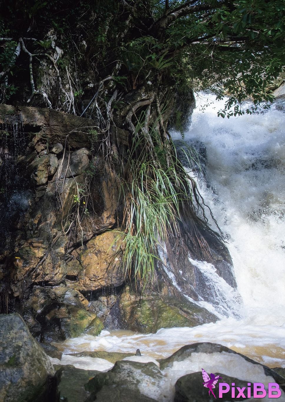 Japanese Idol Mino Suzume Asa Gei SEXY Actress photo collection nymph PixiBB.COM 016