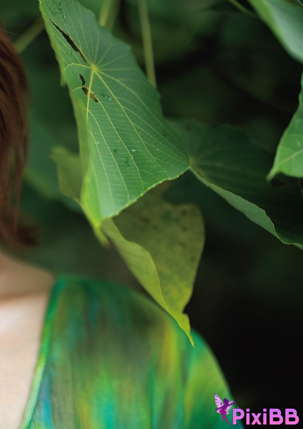 Japanese Idol Mino Suzume Asa Gei SEXY Actress photo collection nymph PixiBB.COM 024