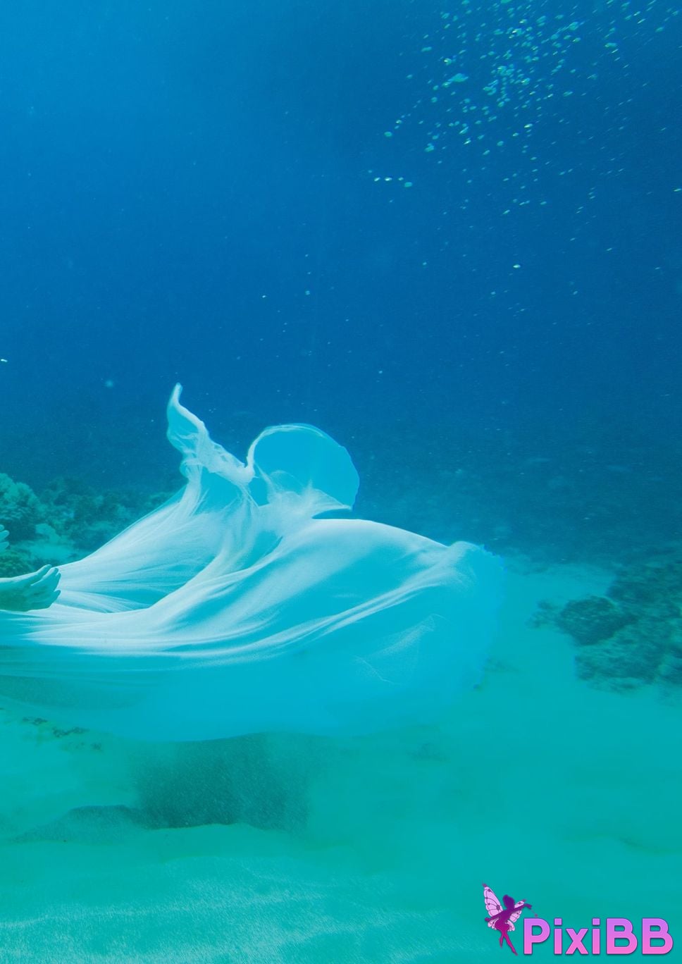 Japanese Idol Mino Suzume Asa Gei SEXY Actress photo collection nymph PixiBB.COM 113