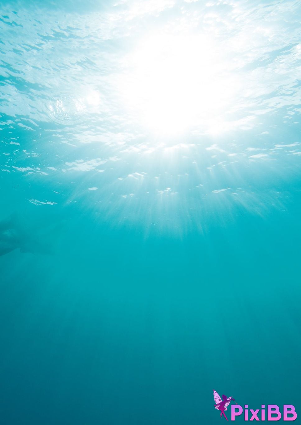 Japanese Idol Mino Suzuki Asage SEXY Actress Photo Collection nymph PixiBB.COM 104