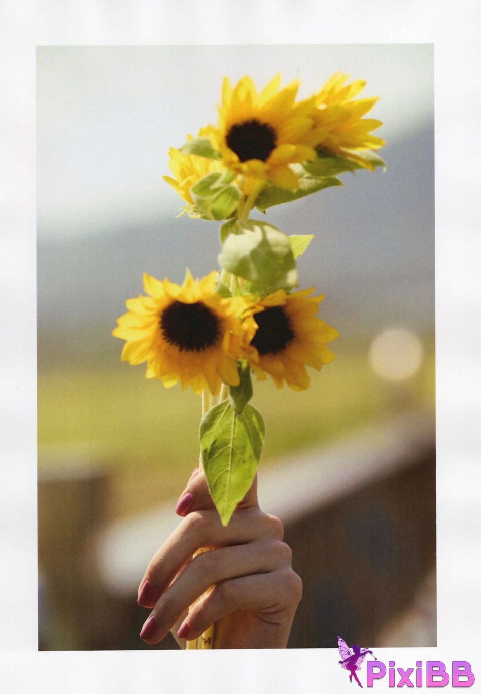 Japanese Idol Mei Okada Yumei 1st photo collection PixiBB.COM 103