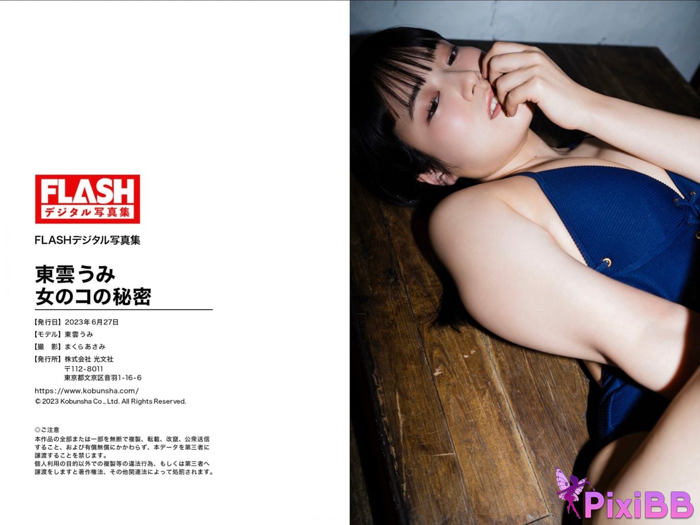 Japanese Idol Shinonome Umi FLASH digital photo book Girl s Secret Girls PixiBB.COM 041