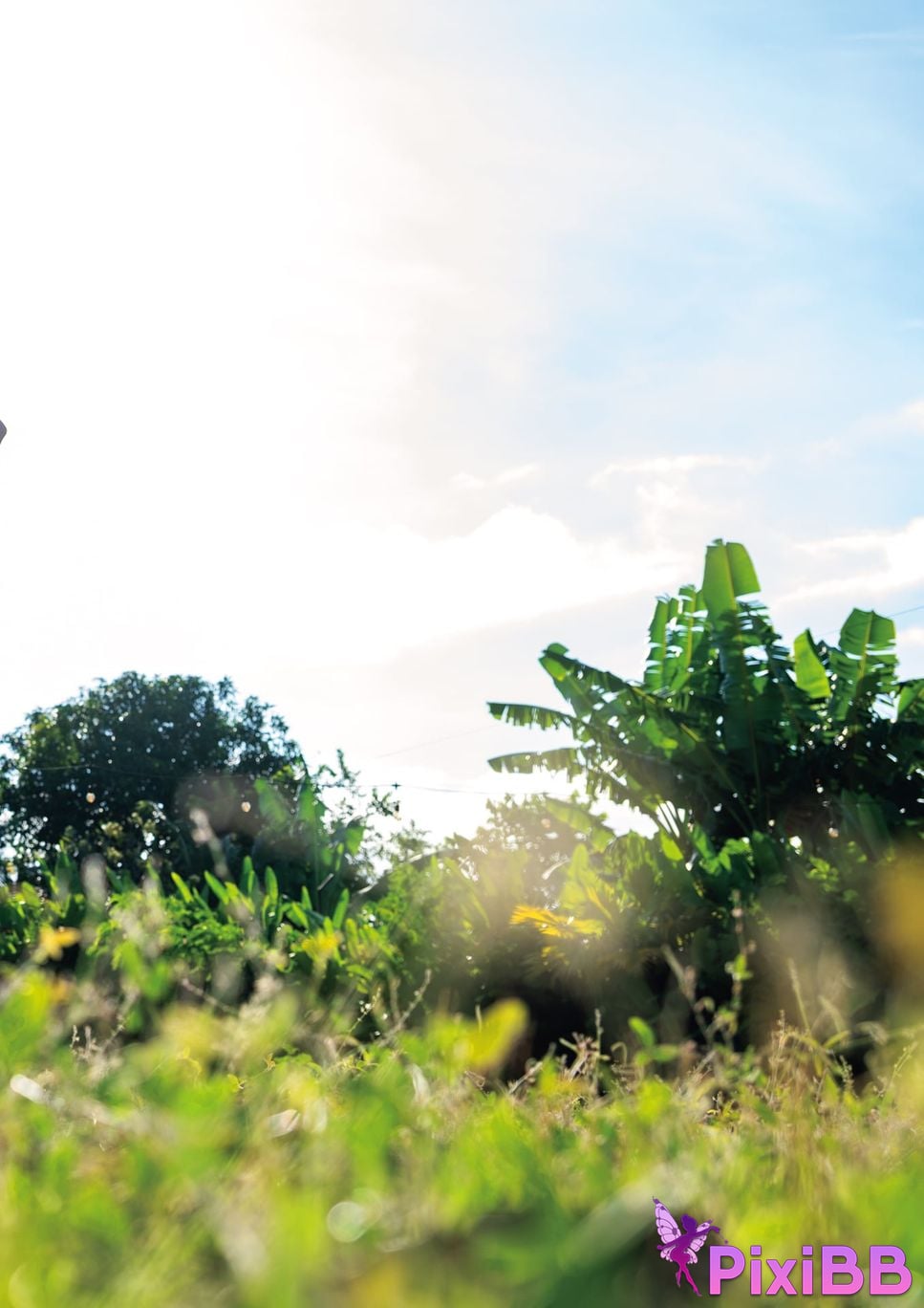 Japanese Idol Kanna Seto Photobook Ill fall in love with you PixiBB.COM 086