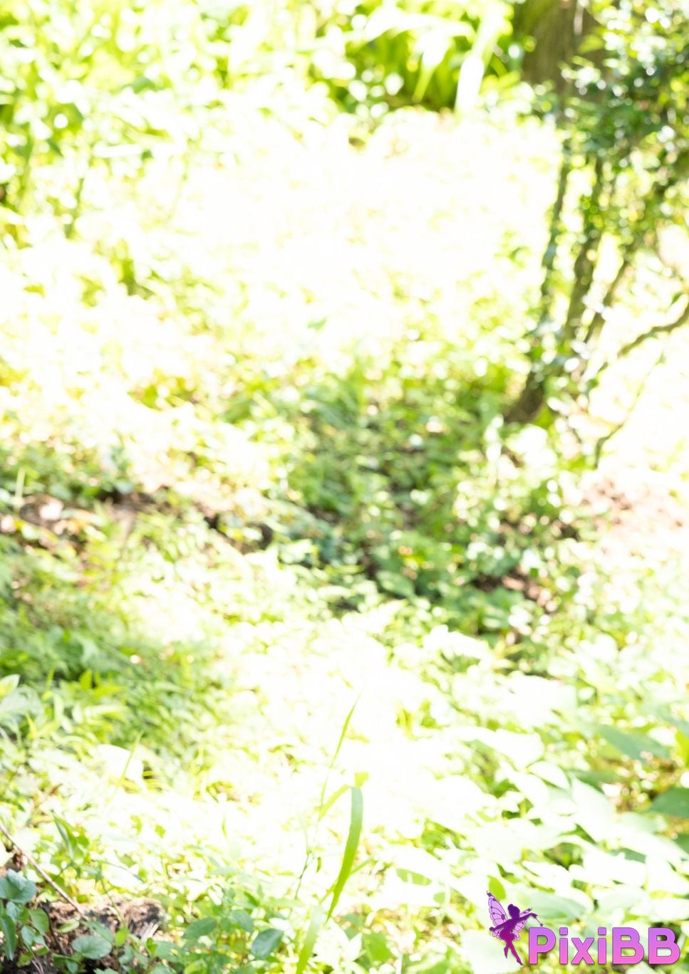 Japanese Idol Mio Ishikawa It starts now... PixiBB.COM 019