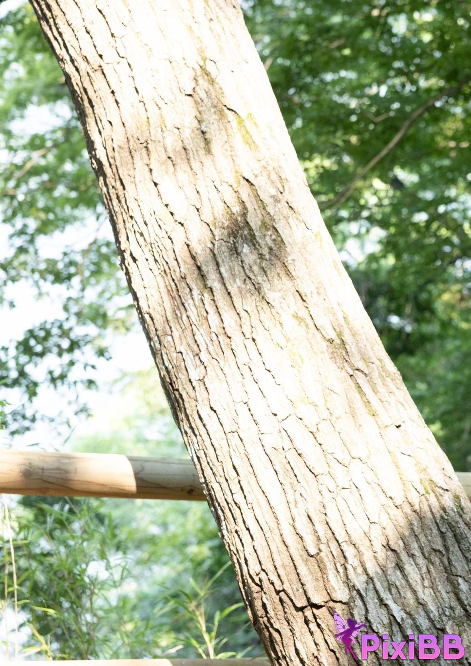 Japanese Idol Mio Ishikawa It starts now... PixiBB.COM 092